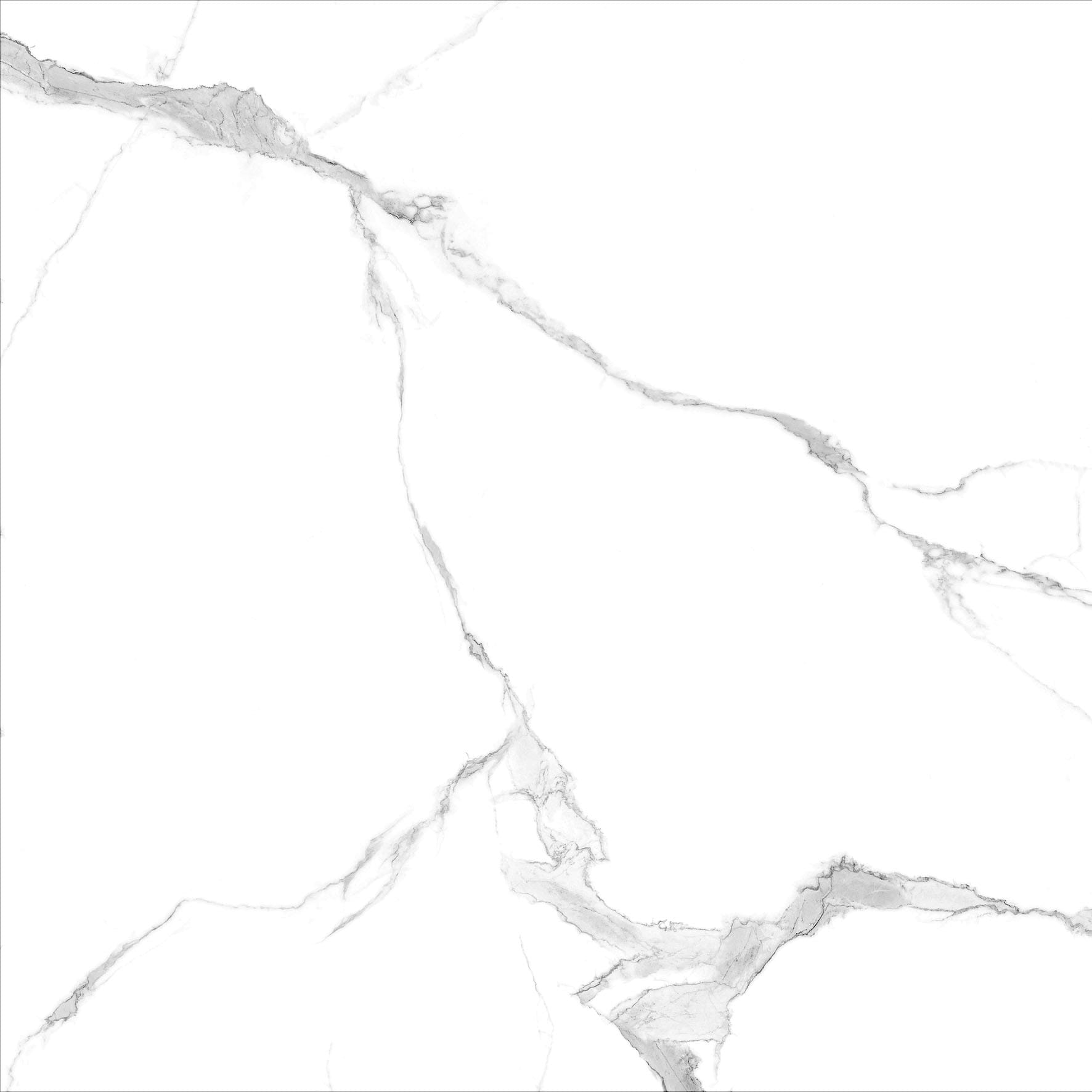 Serena_calacatta_tile_60x60cm_Tile_Trends_NZ